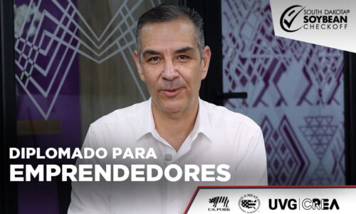 miniatura del curso